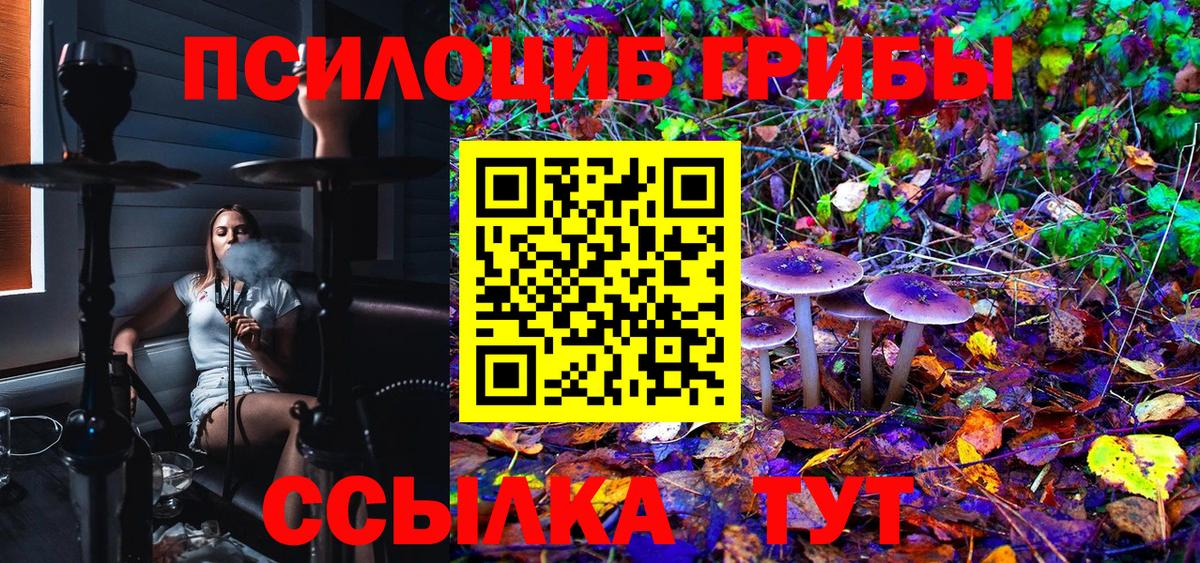 Изобильный  Псилоцибиновые грибы MAGIC MUSHROOMS  Вход с VPN 